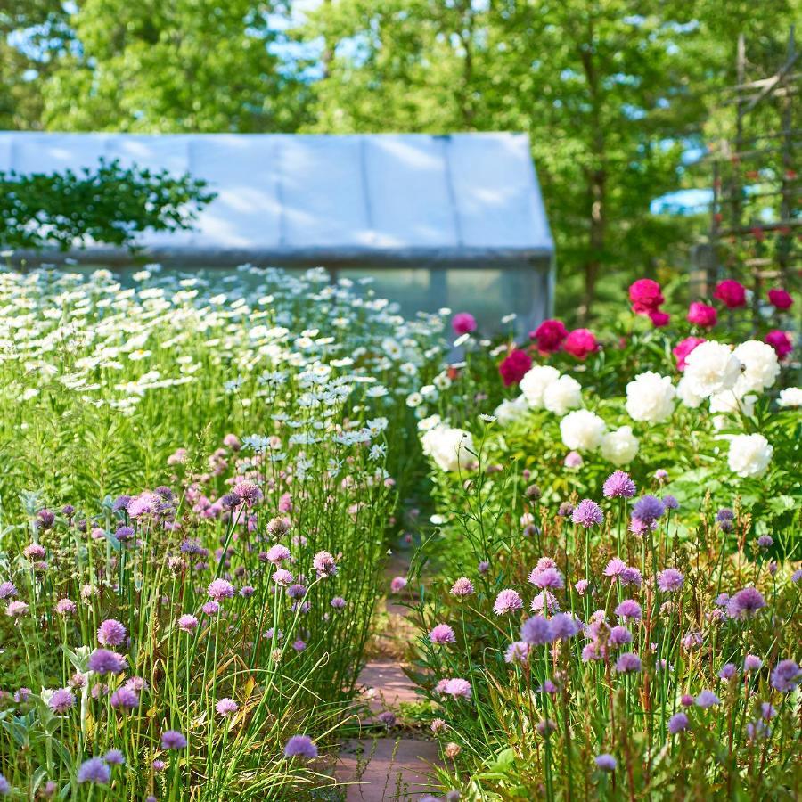 Hotel The Hampton Maid Hampton Bays Exteriér fotografie